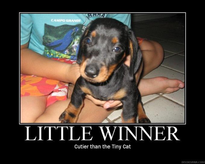 Demotivational Posters