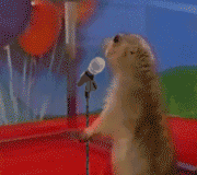 Dramatic Chipmunk / Drama Prairie Dog