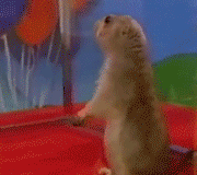Dramatic Chipmunk / Drama Prairie Dog