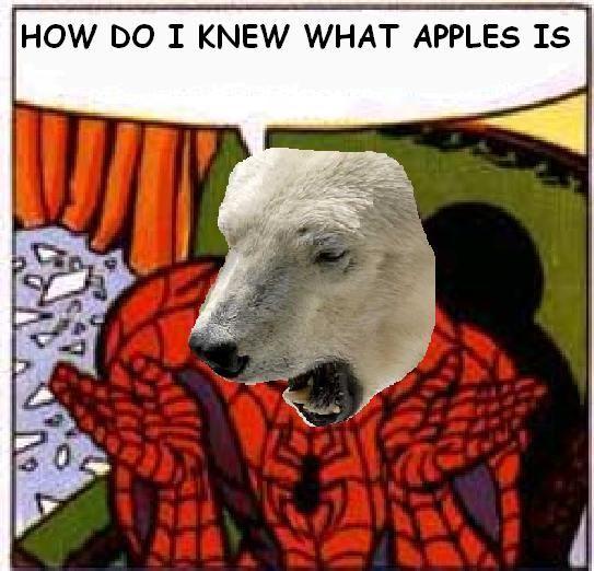 H3PEL4ZHE7TO66I26T2BSZTCZL3CL6DJ.jpeg