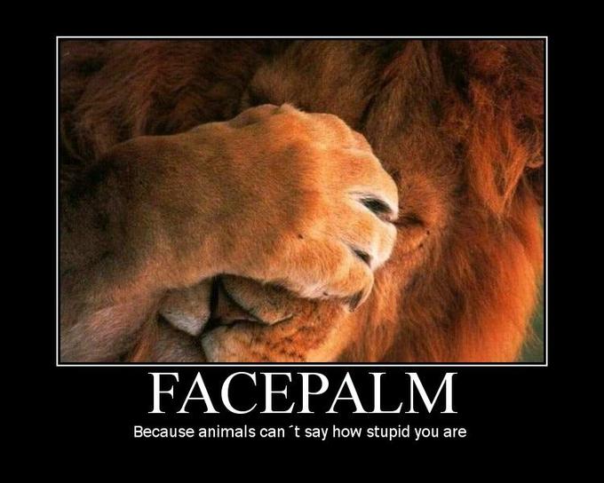 Facepalm_by_Nastyguy.jpg