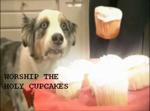 Stains_the_cupcake_dog_by_UzumakiSonic619.jpg