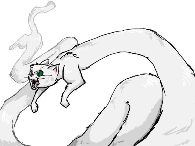 Longcat_is_Looooooooooooooo____by_BakumatsuSlayer.jpg