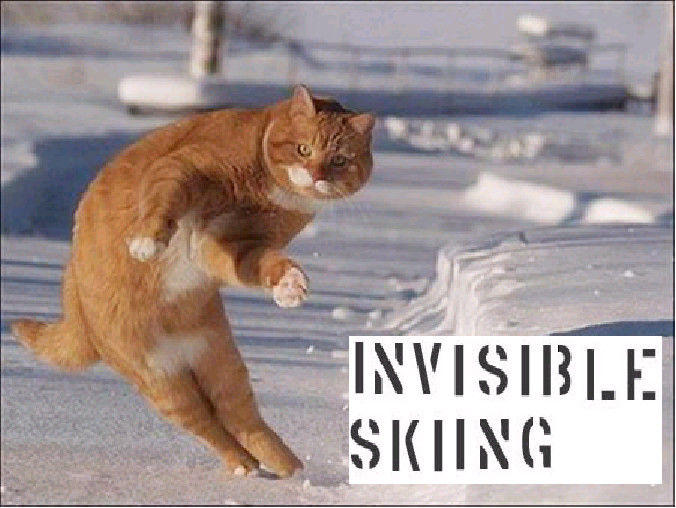 Invisible X