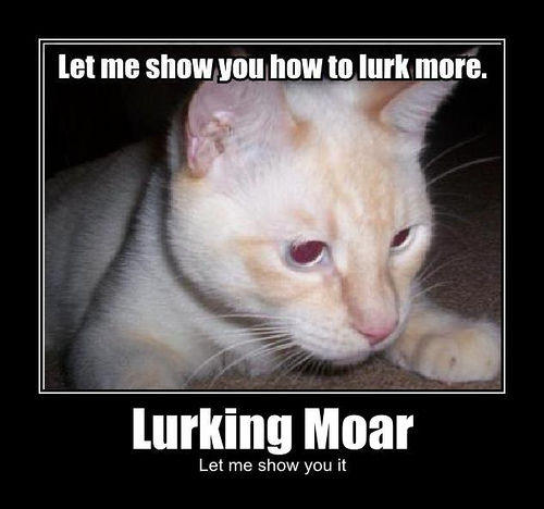 Lurk Moar