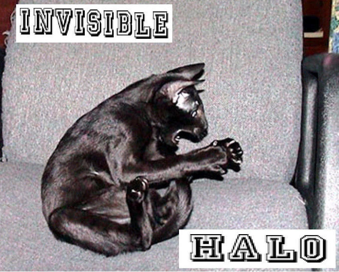 Invisible X