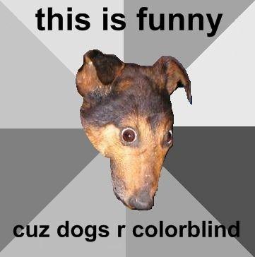 1230926598433.jpg