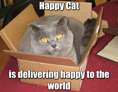 Deliverhappy.jpg