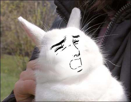 Bunnyfaic