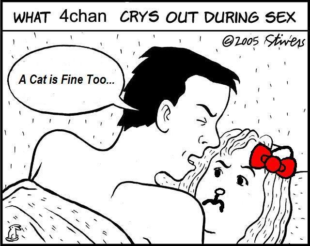 What 4chan Cries Out During Sex