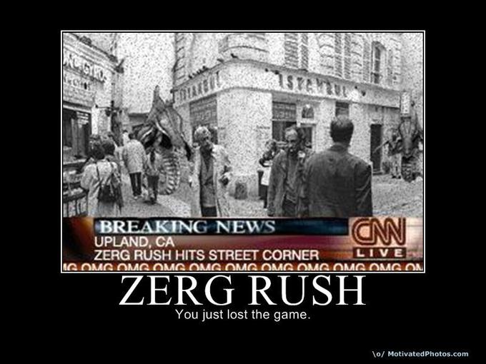 633856561169407160-zergrush.jpg