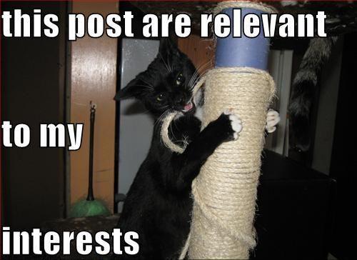 This is Relevant to My Interest