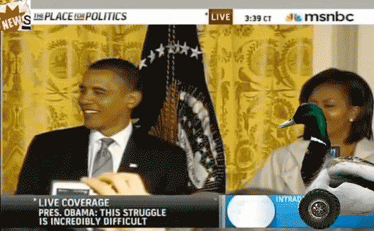 obama-duckroll.gif