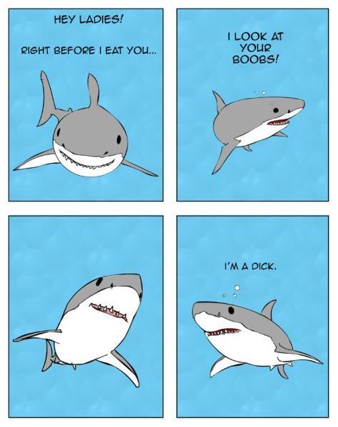 The Singing Shark