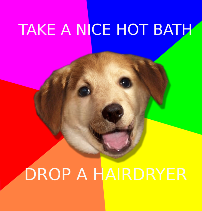 advicedoghotbath.png