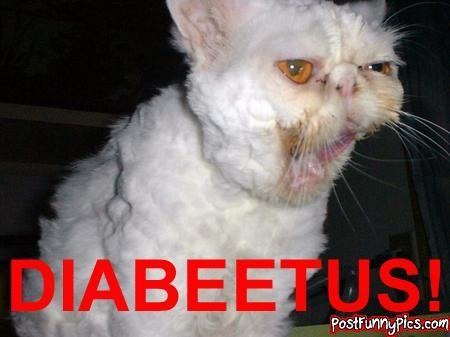 Diabeetus