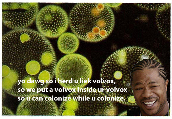 Xzibit Yo Dawg