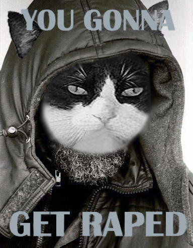 You-gonna-get-raped.jpg