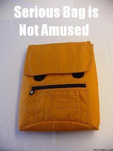 serious_bag_is_not_amused.jpg