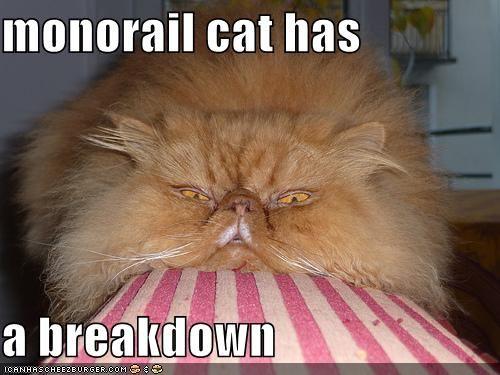 Monorail Cat