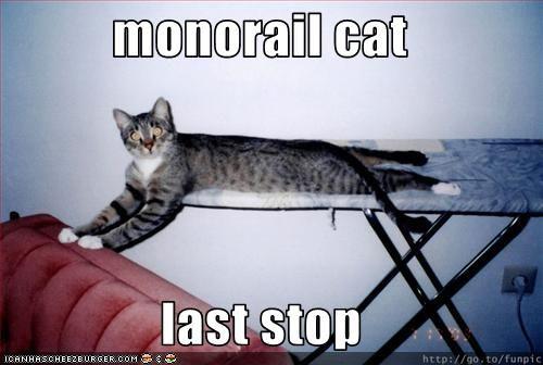 Monorail Cat
