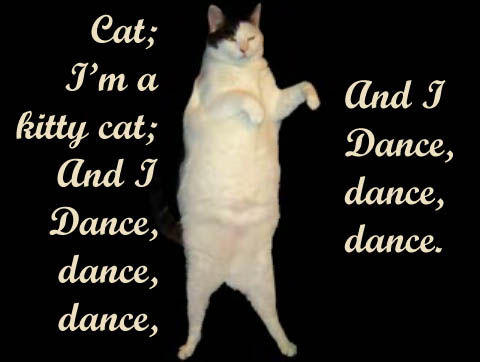 Kitty Cat Dance