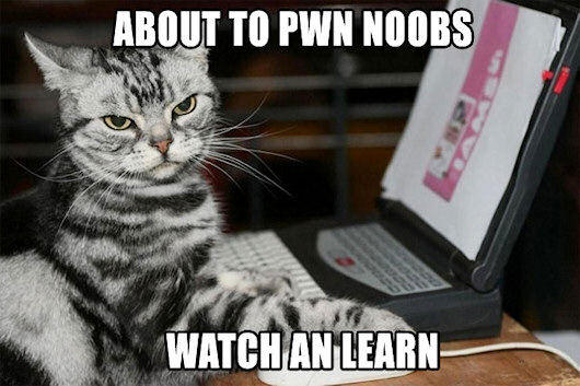 Noob