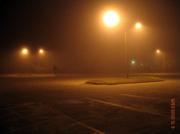 p010082f.jpg