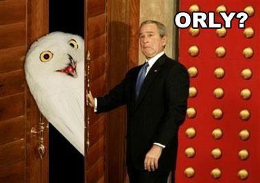 O RLY?
