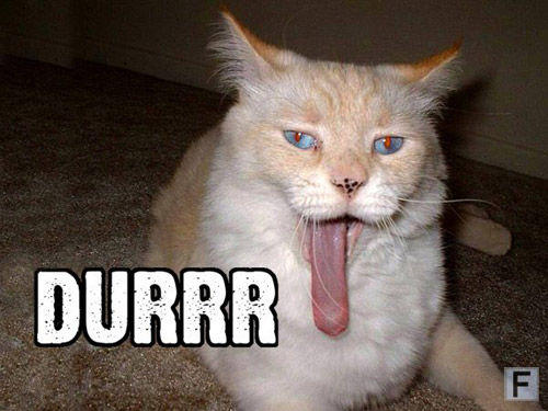 DERP