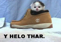 Y helo thar