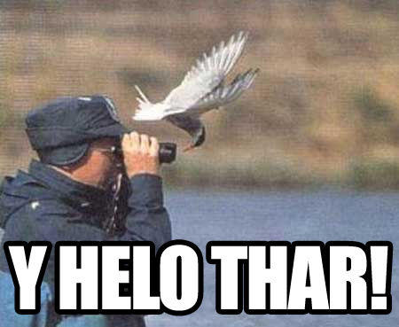 Y helo thar