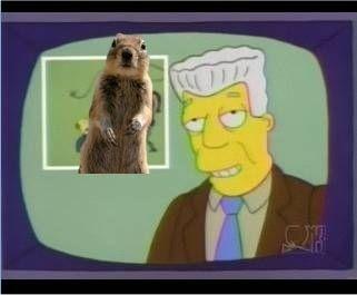 I, For One, Welcome Our New X Overlords