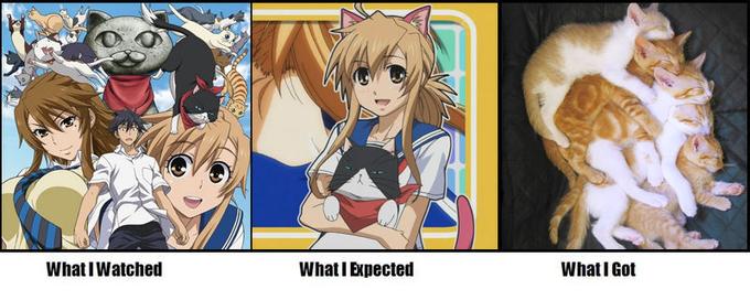What I Watched/Expected/Got