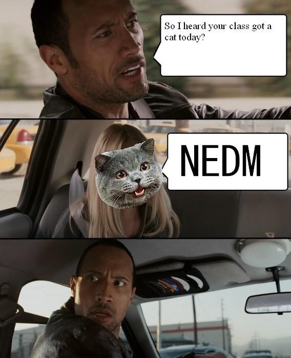 NEDMRockDriving.jpg