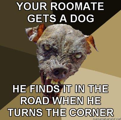 Ugly-Dog-YOUR-ROOMATE-GETS-A-DOG-HE-FINDS-IT-IN-THE-ROAD-WHEN-HE-TURNS-THE-CORNER.jpg