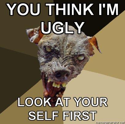 Ugly-Dog-YOU-THINK-IM-UGLY-LOOK-AT-YOUR-SELF-FIRST.jpg