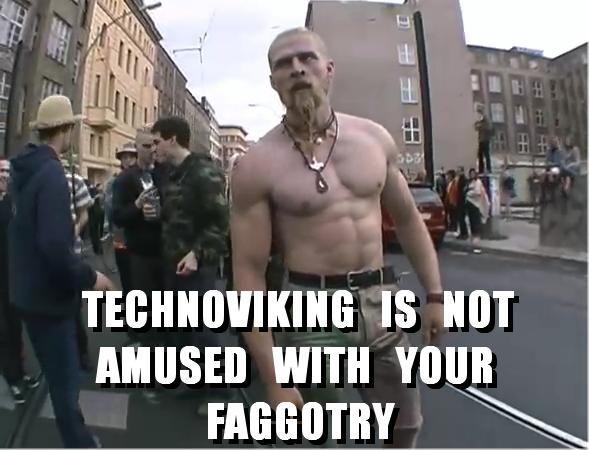 Technoviking