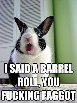 Do A Barrel Roll
