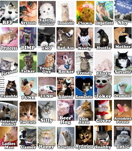 lolcats-tag-image-refaceme_1_.jpg