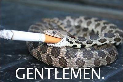 GENTLEMEN_Snake.jpg