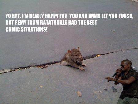 Sad Rat