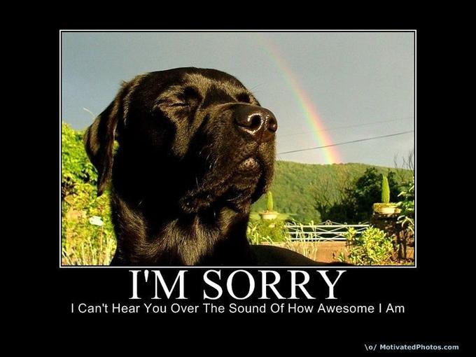 633766747898791115-imsorry.jpg