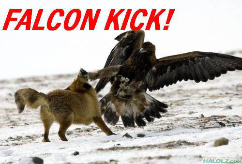 Falcon Punch