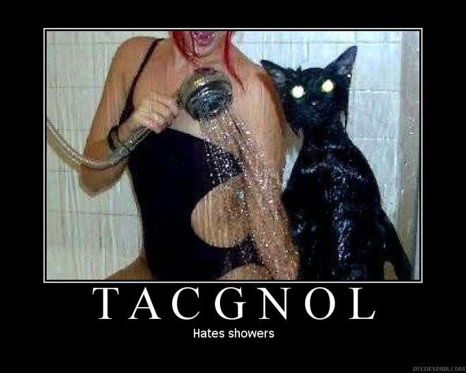 tacgnol.jpg