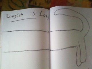 Longcat