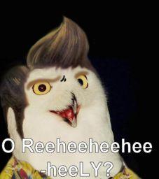 O RLY?