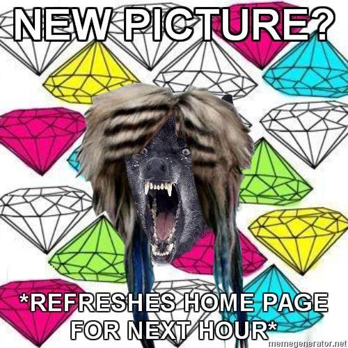 Scene-Wolf-NEW-PICTURE-REFRESHES-HOME-PAGE-FOR-NEXT-HOUR.jpg