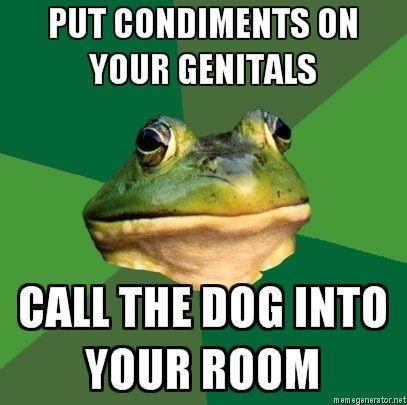 Foul Bachelor Frog