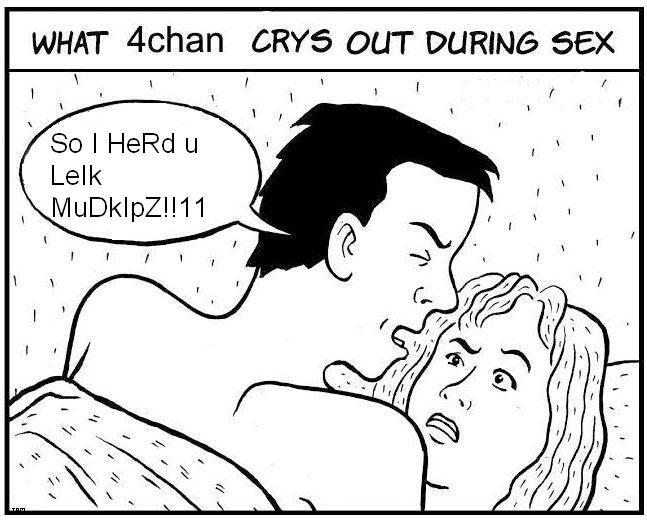 What 4chan Cries Out During Sex